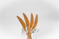 Product image 2 for Cuchillos biodegradables MOSS a base de fibras vegetales  miniatura